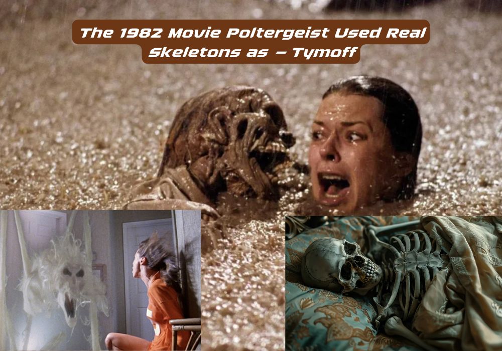 The 1982 Movie Poltergeist Used Real Skeletons as - Tymoff